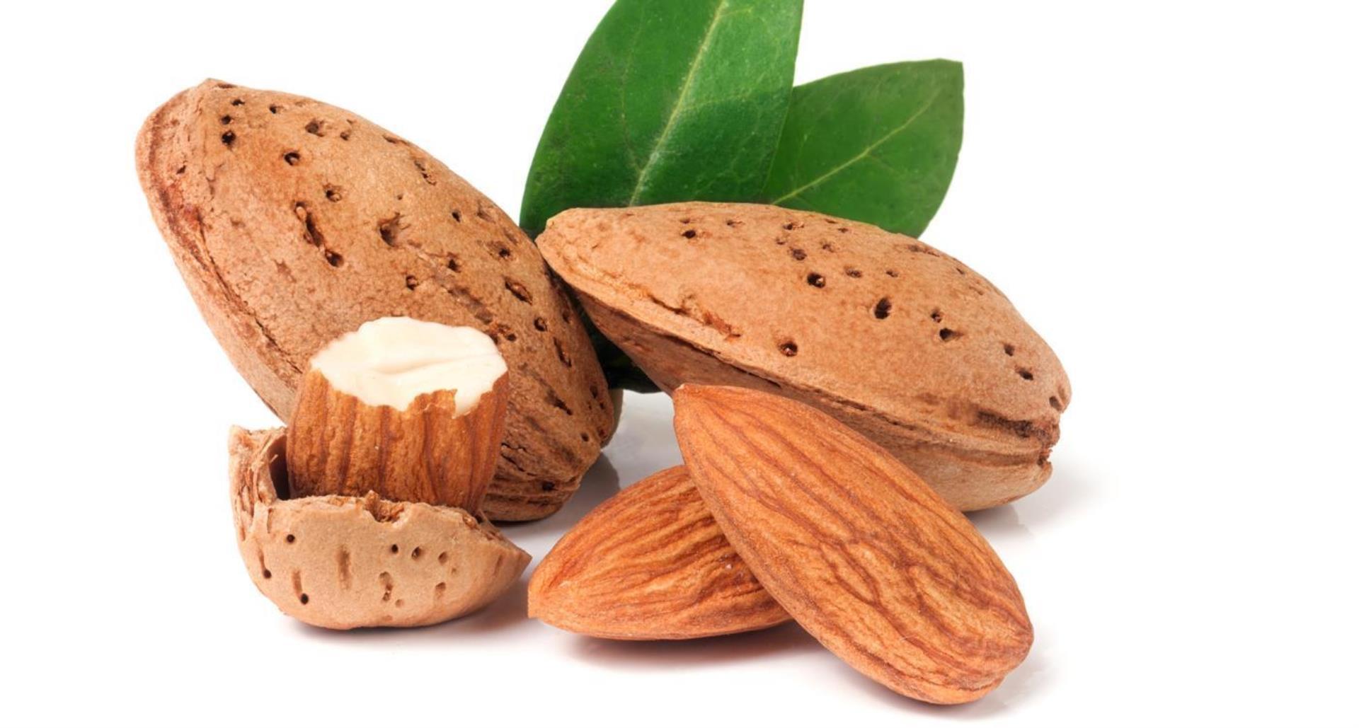 Sweet almond prunus dulcis oil. Sweet almond prunus dulcis oil. Саженцы миндаля десертного. Sweet almond prunus dulcis oil. Gustorganics сша.