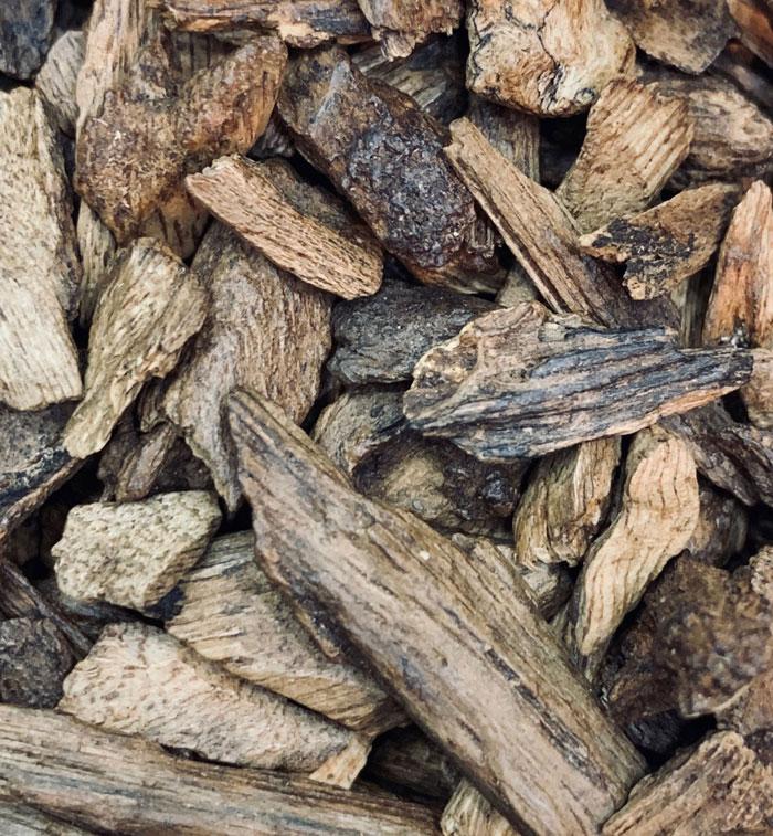 Agarwood Organic Hydrosol (aqularia sp.) – Natural Alchemy